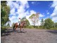 Mapleton QLD 4560