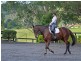 Mapleton QLD 4560
