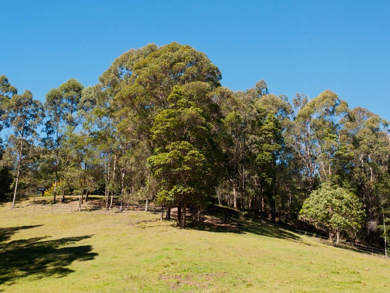 307 Ilkley Road, Ilkley QLD 4554