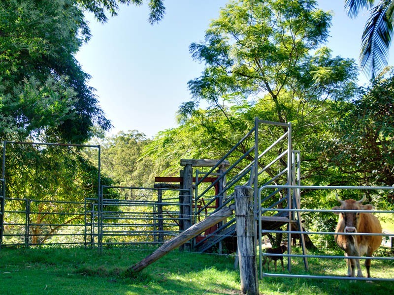 307 Ilkley Road, Ilkley QLD 4554