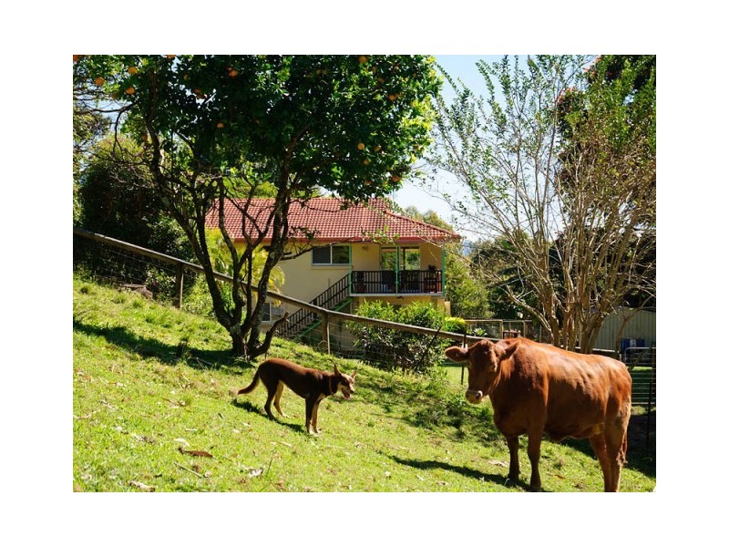 307 Ilkley Road, Ilkley QLD 4554