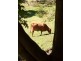 307 Ilkley Road, Ilkley QLD 4554