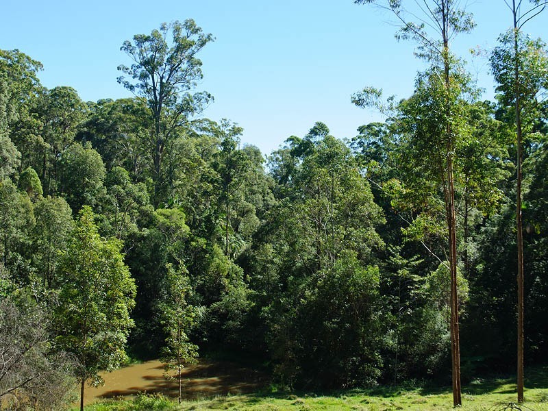 307 Ilkley Road, Ilkley QLD 4554