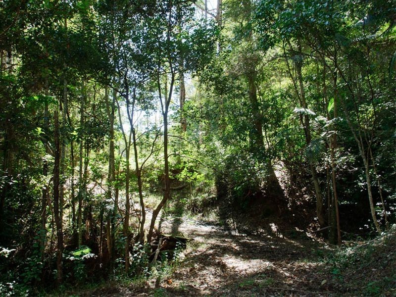 307 Ilkley Road, Ilkley QLD 4554