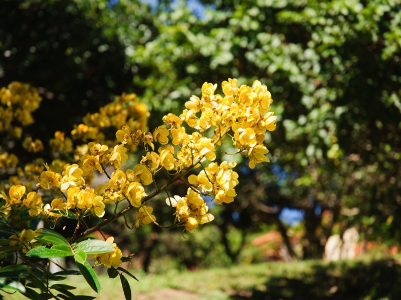 307 Ilkley Road, Ilkley QLD 4554