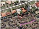 23 Blackwood Street, Maroochydore QLD 4558