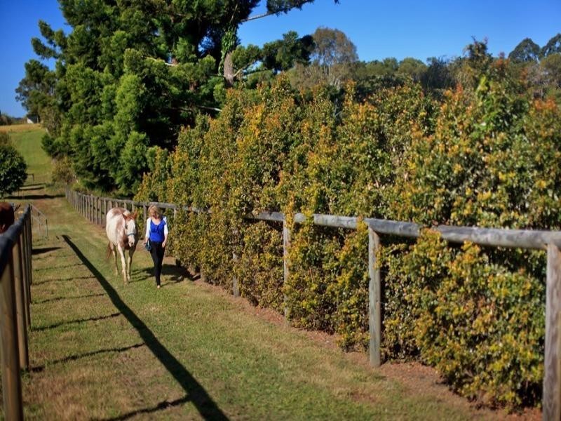 173 Ocean View Rd, Cooroy QLD 4563