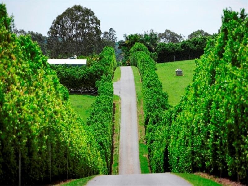 491 Cooroy Mountain Rd, Cooroy Mountain QLD 4563