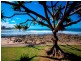 9 George Street, Alexandra Headland QLD 4572