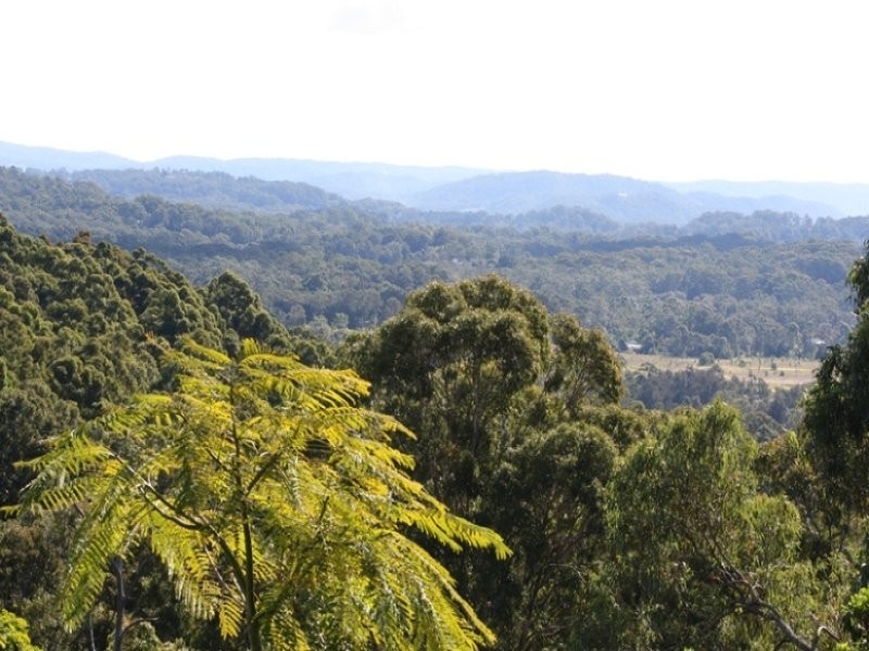 19 JARRAH ROAD, Buderim QLD 4556