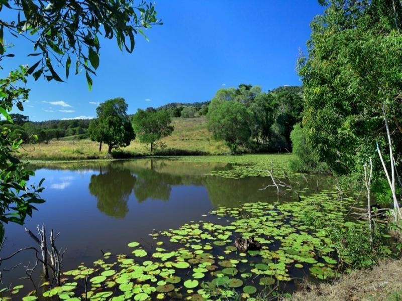 Mothar Mountain QLD 4570