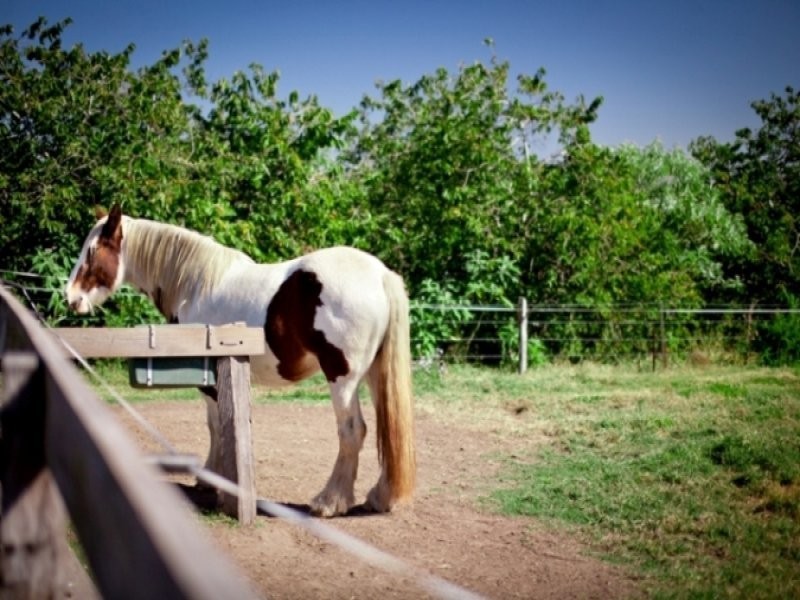Mothar Mountain QLD 4570