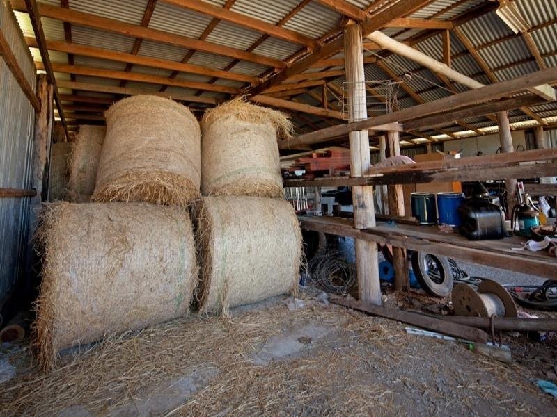 Mothar Mountain QLD 4570