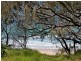 51 Palm Drive, Mooloolaba QLD 4557