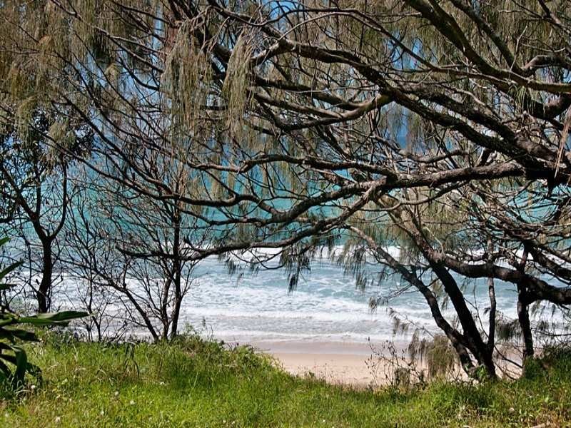 51 Palm Drive, Mooloolaba QLD 4557