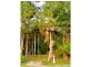 111A Kentish Road, Kiels Mountain QLD 4559