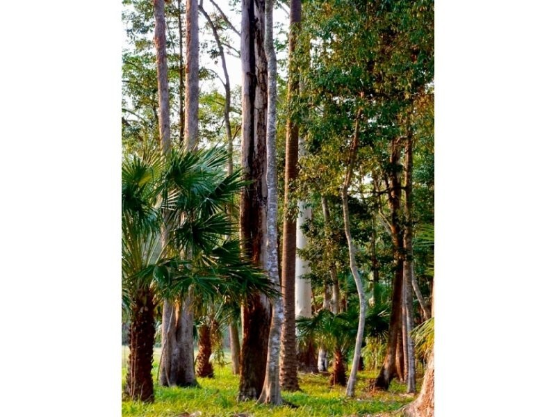 111A Kentish Road, Kiels Mountain QLD 4559