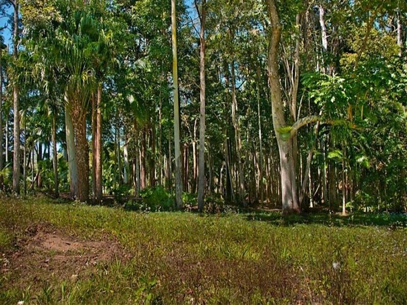 111A Kentish Road, Kiels Mountain QLD 4559