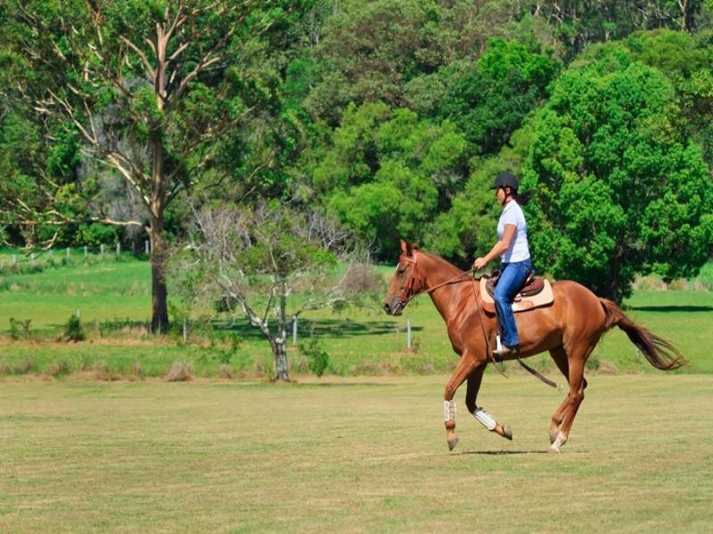 81 Worba Lane, Tinbeerwah QLD 4563