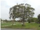 8 Ilya Street, Currimundi QLD 4551