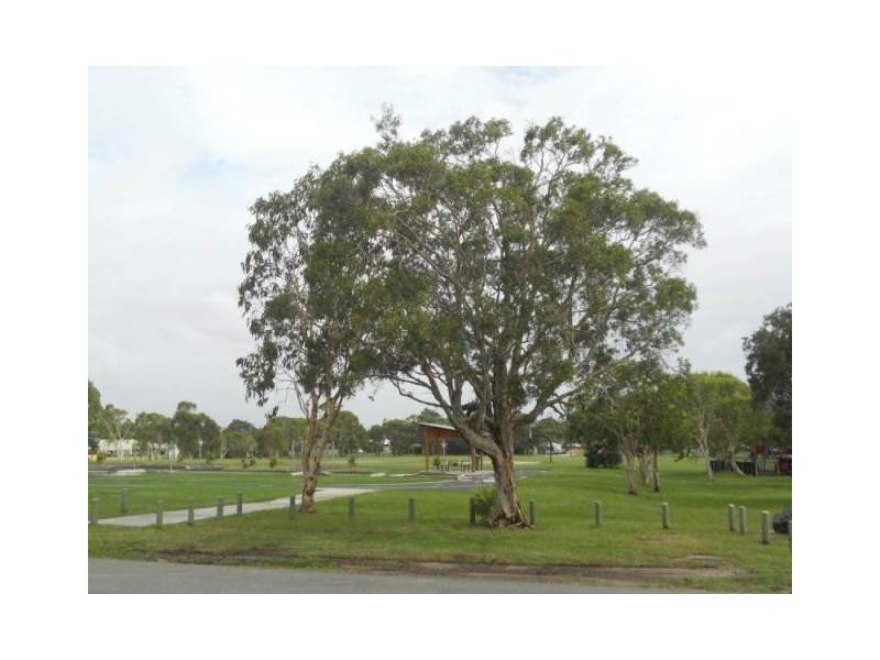 8 Ilya Street, Currimundi QLD 4551