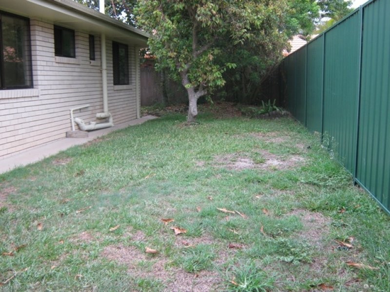 6 Kyeema Street, Buddina QLD 4575