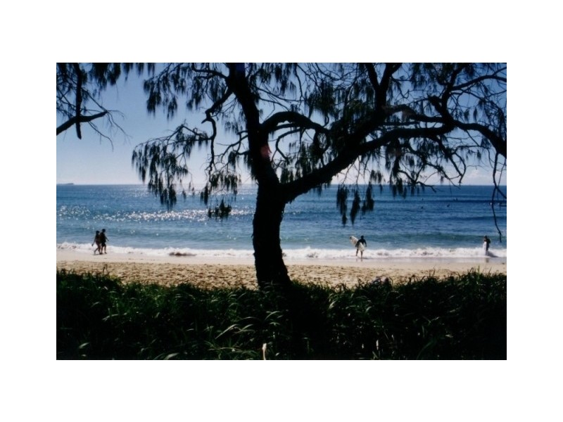 23 Victor Street, Alexandra Headland QLD 4572