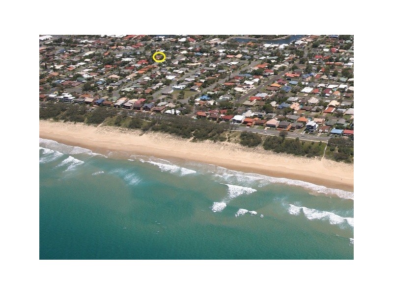 33 Undara Avenue, Buddina QLD 4575