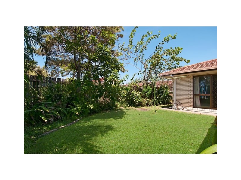 33 Undara Avenue, Buddina QLD 4575