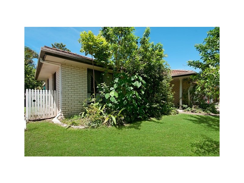 33 Undara Avenue, Buddina QLD 4575