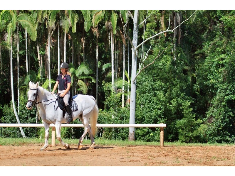 57 McKees Rd, Palmwoods QLD 4555