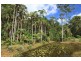57 McKees Rd, Palmwoods QLD 4555