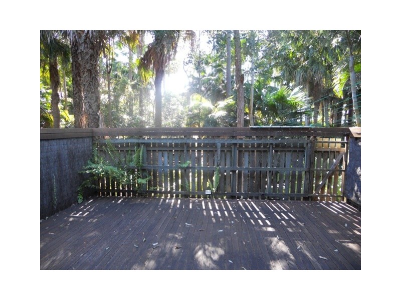 59/1 Poinsettia Court, Mooloolaba QLD 4557