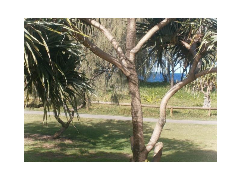 13/143 Lowanna Drive, Buddina QLD 4575
