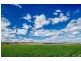 Tansey QLD 4601
