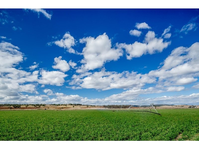 Tansey QLD 4601