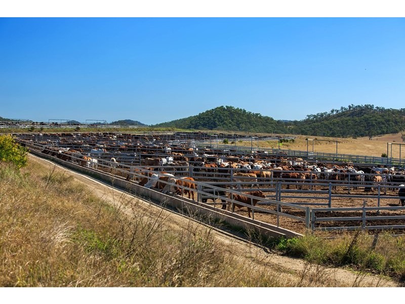 Tansey QLD 4601