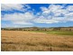 Tansey QLD 4601
