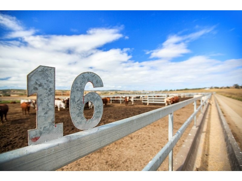 Tansey QLD 4601