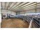 Tansey QLD 4601