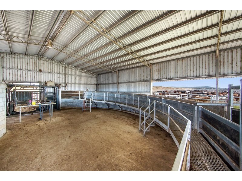 Tansey QLD 4601