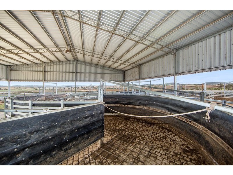 Tansey QLD 4601