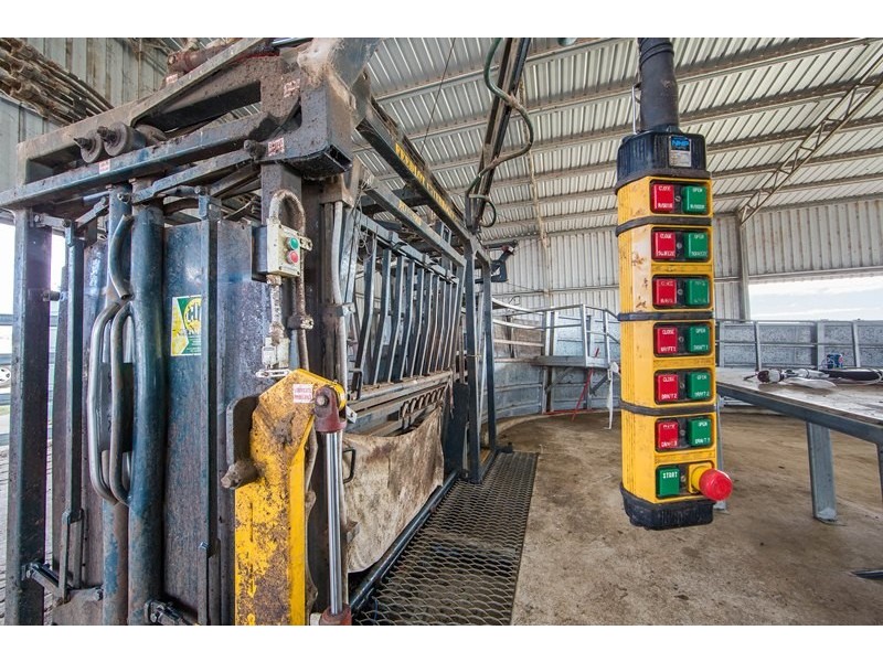 Tansey QLD 4601