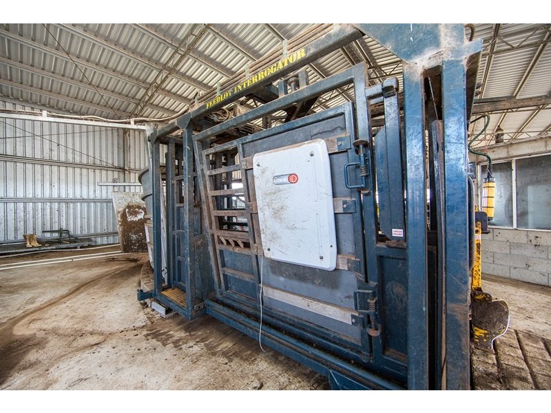 Tansey QLD 4601