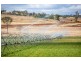 Tansey QLD 4601