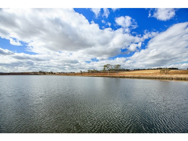 Tansey QLD 4601