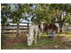 Tansey QLD 4601