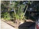 14A Incana Court, Mooloolaba QLD 4557
