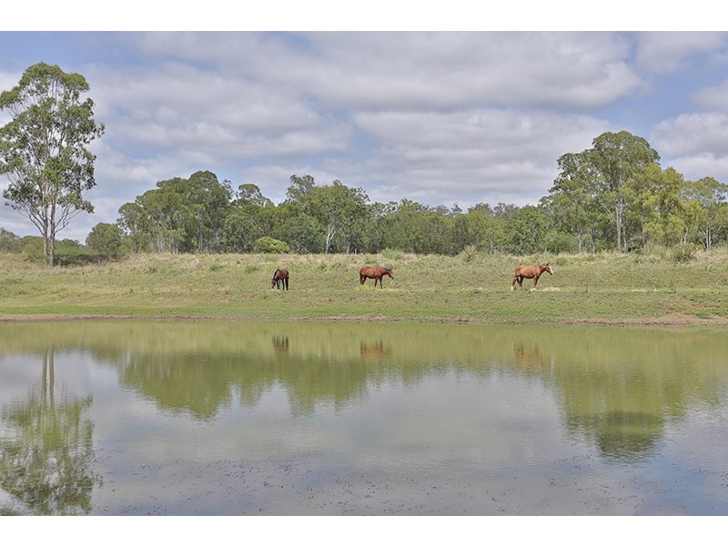 1280 Murphys Creek Rd, Murphys Creek QLD 4352