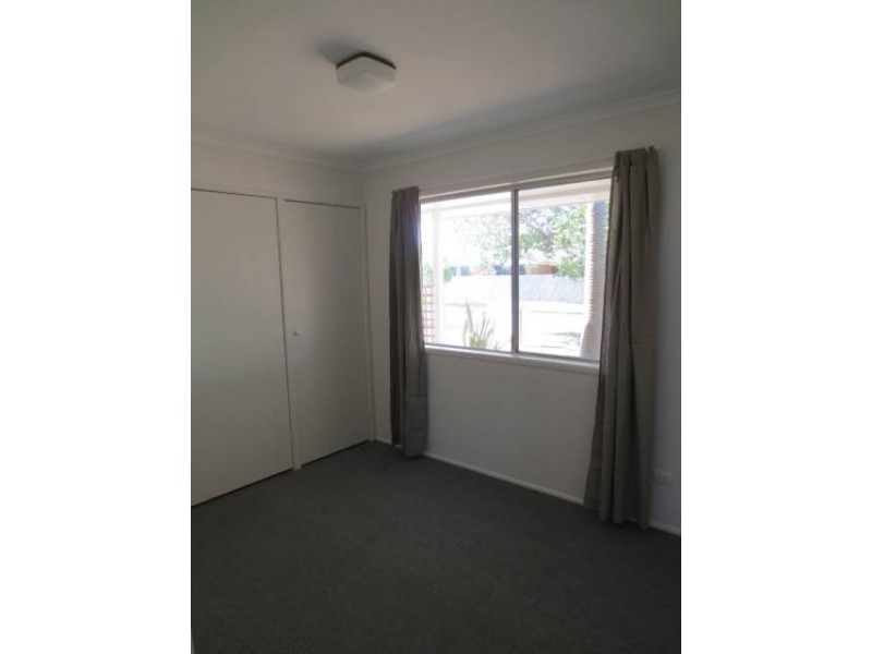 14 Ilumba Street, Buddina QLD 4575